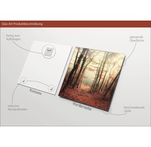 Image en verre avec motif de forêt, supports d''écartement et dispositif de suspension inclus