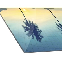 Image en verre acrylique avec motif de palmiers