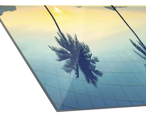 Acrylglasbild mit Palmenmotiv