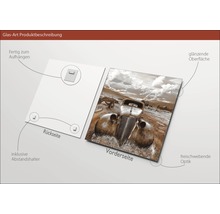 Image sur verre avec un motif de voiture ancienne, avec entretoises et suspension