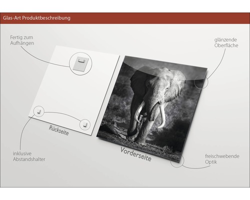 Glasbild mit Elefantenmotiv, inklusive Aufhängung und Abstandshalter