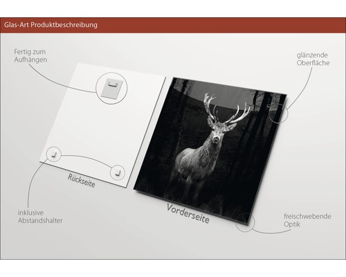 Glasbild mit Hirschmotiv, inklusive Abstandshalter und Aufhängevorrichtung