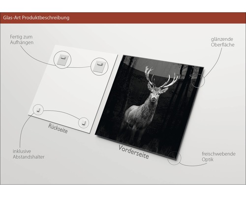 Glasbild mit Hirschmotiv, glänzender Oberfläche und Wandhalterung