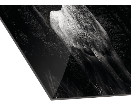 Fotokunstwerk eines Hirsches auf einer Platte