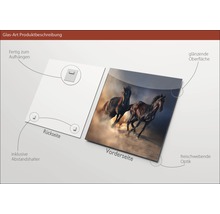 Image en verre avec motif de cheval, entretoises et fixation incluses