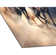 Vue détaillée d''une plaque de verre représentant des chevaux au galop