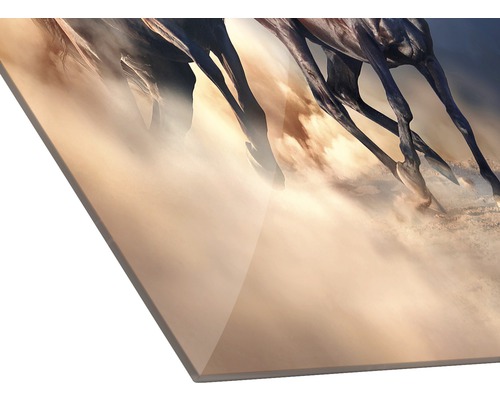 Detailansicht einer Glasbildplatte mit dem Motiv galoppierender Pferde