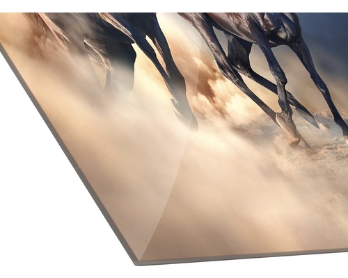 Wandbild mit Pferde-Motiv auf Acrylglas