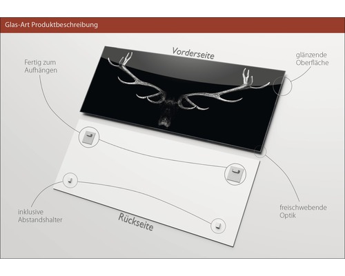 Glasbild mit Hirschgeweih, inklusive Abstandshalter und Aufhängevorrichtung