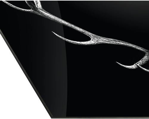 Dekorationsobjekt Geweih auf schwarzem Hintergrund