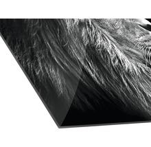 Detailaufnahme eines Acrylglasbildes mit Löwenmotiv