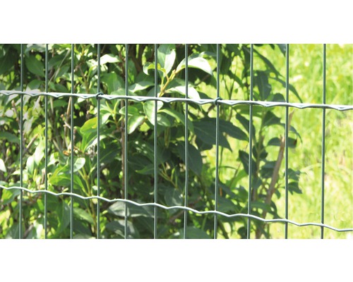 Metallzaun vor Büschen im Garten