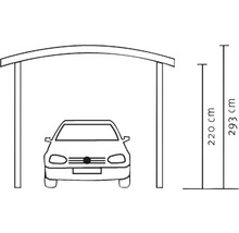 Abbildung eines Carports mit den Maßen 220 cm und 293 cm Höhe.