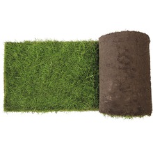 Rouleau de gazon pour le jardin