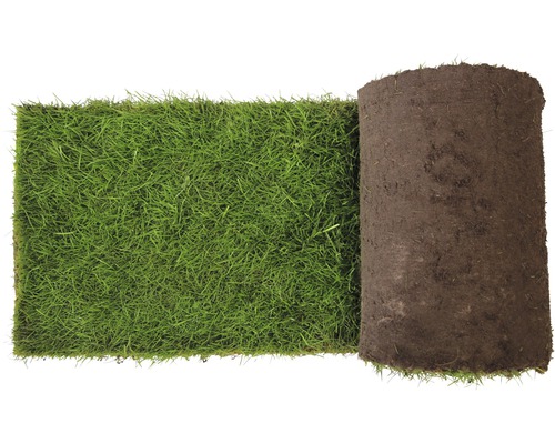 Rouleau de gazon pour le jardin