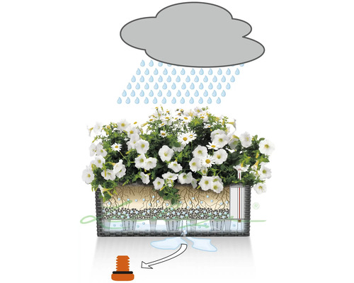 Darstellung eines Blumenkastens mit Bewässerungssystem bei Regen