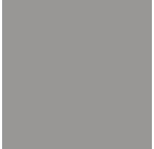 Peinture de protection durable pour bois BONDEX platine 750 ml