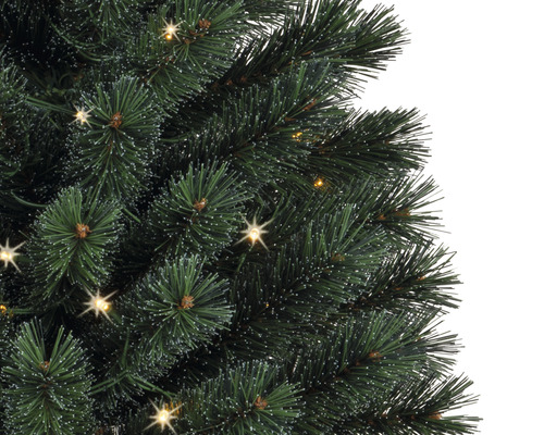 Nahaufnahme eines mit Lichtern geschmückten Weihnachtsbaums.