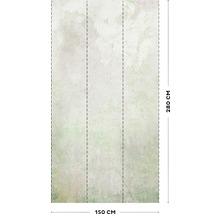 Papier peint panoramique intissé 105399 Pure Nature béton vert 3 pièces 150 x 280 cm