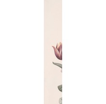 Papier peint panoramique intissé 105401 Soft Blush roses en fleurs 4 pièces 200 x 280 cm