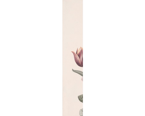 Illustration d''une fleur de tulipe ouverte