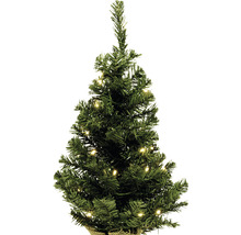 Petit sapin de Noël décoratif avec éclairage pour une ambiance festive.