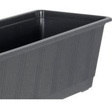 Blumenkasten geli Standard Kunststoff 60x17x14 cm anthrazit