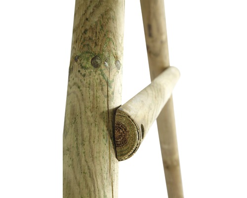 Vue détaillée d''une échelle en bois avec des barreaux ronds