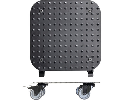 Planche à roulettes avec surface à picots et roulettes