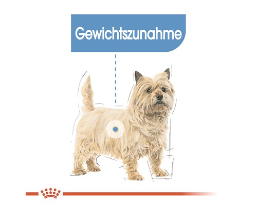Illustration eines Hundes mit dem Hinweis Gewichtszunahme