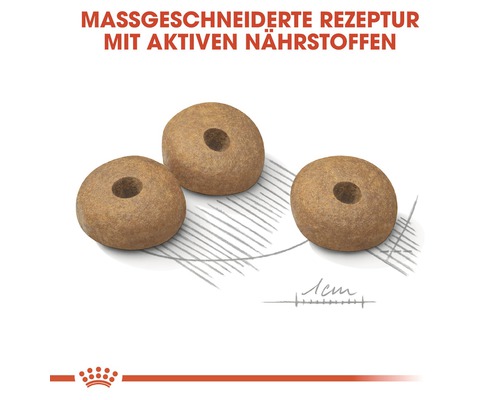 Drei Stücke Trockenfutter für Hunde mit Loch