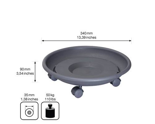 Support à plantes à roulettes avec dimensions