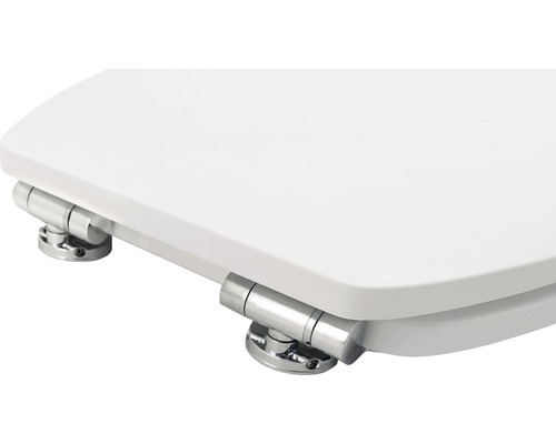 Toilettendeckel mit Chrombeschlägen