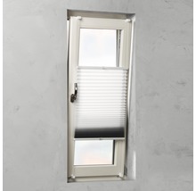 Fenêtre avec store plissé pour la protection solaire