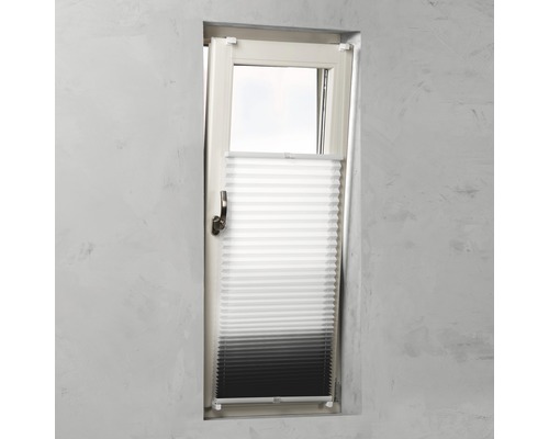 Fenêtre avec store plissé monté pour l''intimité et la protection solaire