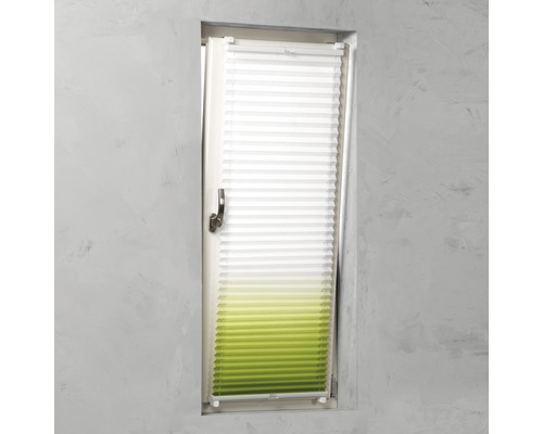 Fenêtre avec store plissé pour protection solaire