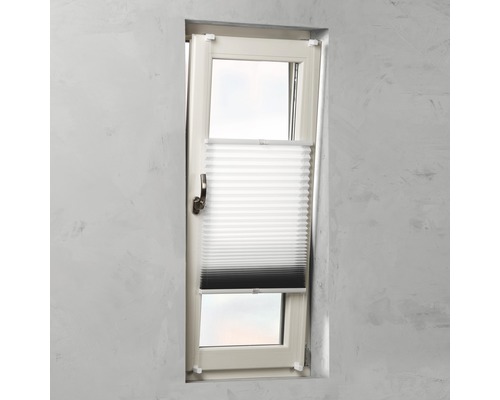 Fenêtre avec store plissé pour la décoration de fenêtre et l''intimité