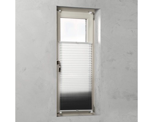 Fenêtre avec store plissé pour réguler la lumière