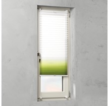 Fenêtre avec store plissé pour la protection solaire