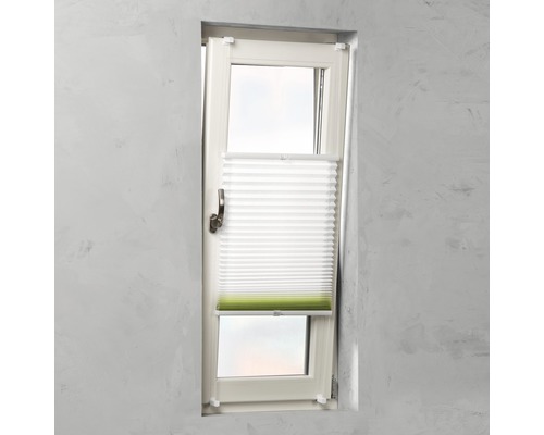 Fenêtre avec store plissé pour la décoration de fenêtre et la protection contre le soleil