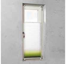 Fenêtre avec store plissé pour l’intimité et la protection solaire