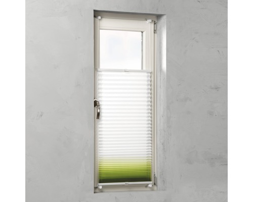 Fenêtre avec store plissé pour l’intimité et la protection solaire