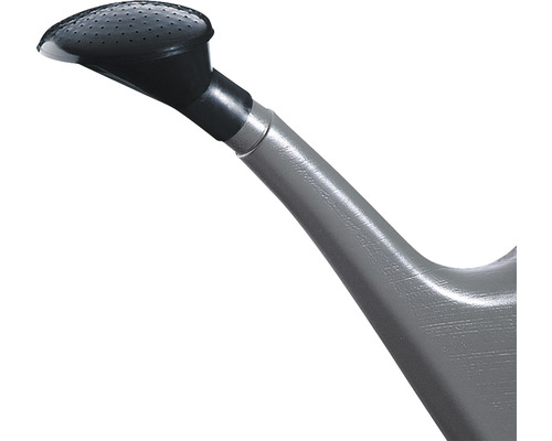 Pomme d''arrosoir en détail