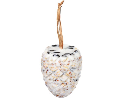 Pomme de pin de nourriture pour oiseaux à suspendre