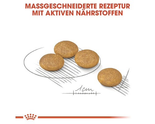 Hundefutter-Kroketten auf einem Teller