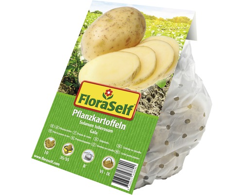 FloraSelf Pflanzkartoffeln der Sorte Gala im durchsichtigen Beutel