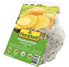 FloraSelf Pflanzkartoffeln Sorte Linda, Solanum tuberosum im Verkaufsnetz