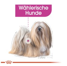 Illustration eines wählerischen Hundes