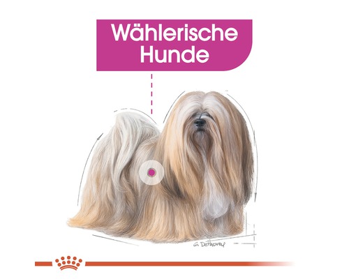 Illustration eines wählerischen Hundes