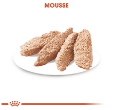 Katzenfutter Mousse auf einem Teller